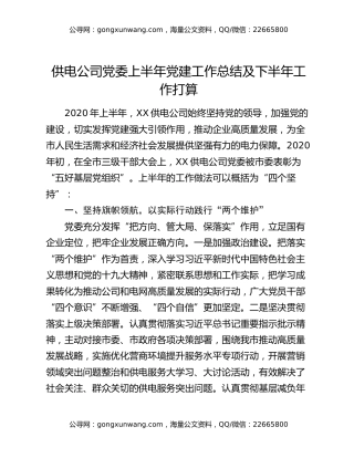 供电公司党委上半年党建工作总结及下半年工作打算