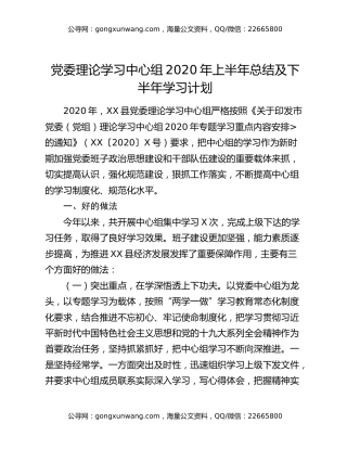 党委理论学习中心组2020年上半年总结及下半年学习计划