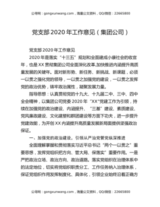 党支部2020年工作意见（集团公司）