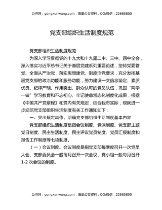 党支部组织生活制度规范