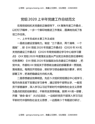 党组2020上半年党建工作总结范文