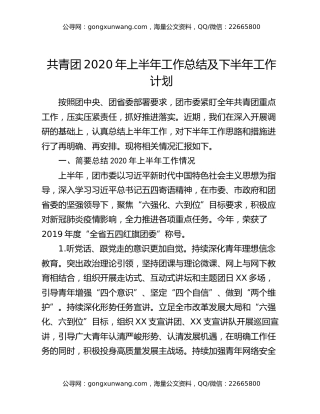 共青团2020年上半年工作总结及下半年工作计划