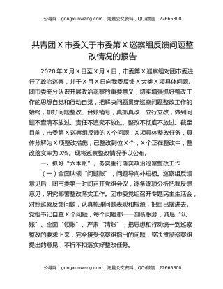 共青团X市委关于市委第X巡察组反馈问题整改情况的报告
