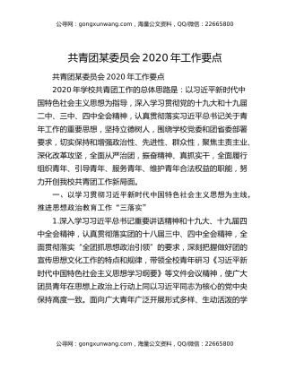 共青团某委员会2020年工作要点