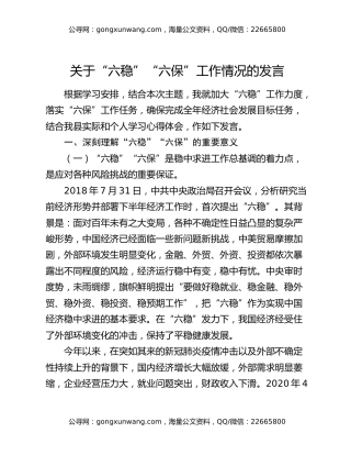 关于“六稳”“六保”工作情况的发言
