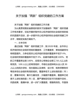 关于加强“两新”组织党建的工作方案