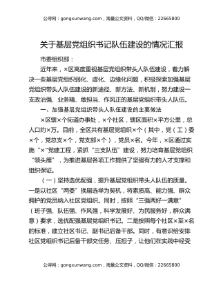 关于基层党组织书记队伍建设的情况汇报