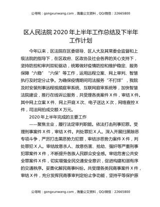 区人民法院2020年上半年工作总结及下半年工作计划