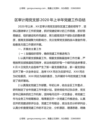 区审计局党支部2020年上半年党建工作总结