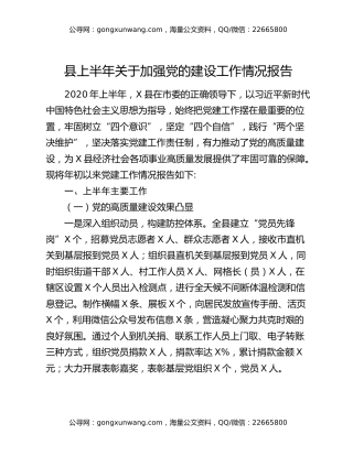 县上半年关于加强党的建设工作情况报告