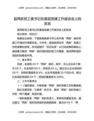 县两新党工委书记在基层党建工作座谈会上的发言