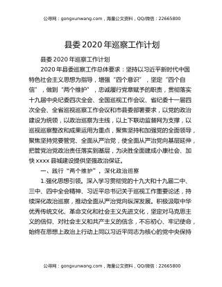 县委2020年巡察工作计划