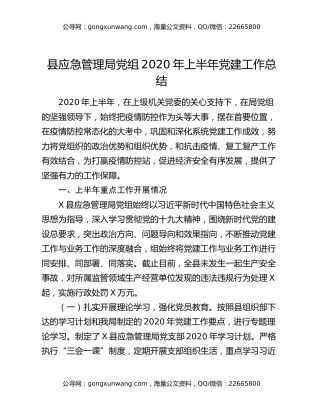 县应急管理局党组2020年上半年党建工作总结