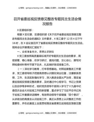 召开省委巡视反馈意见整改专题民主生活会情况报告