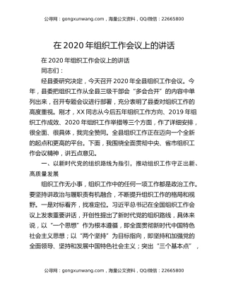 在2020年组织工作会议上的讲话