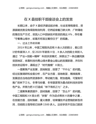 在X县挂职干部座谈会上的发言