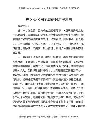 在X委X书记调研时汇报发言