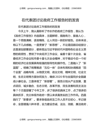 在代表团讨论政府工作报告时的发言