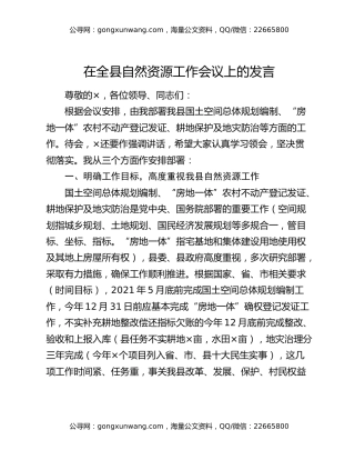 在全县自然资源工作会议上的发言
