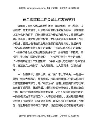 在全市维稳工作会议上的发言材料