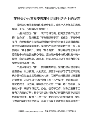 在县委办公室党支部年中组织生活会上的发言