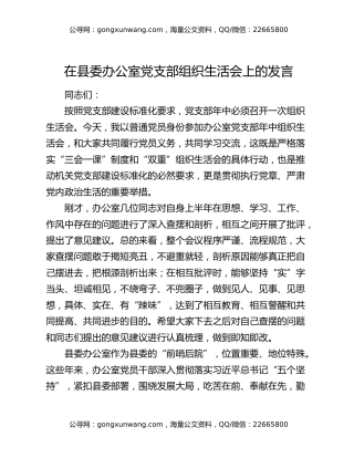 在县委办公室党支部组织生活会上的发言