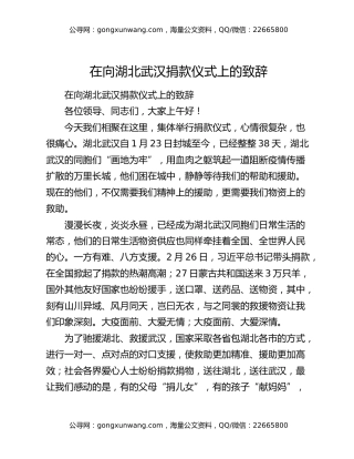 在向湖北武汉捐款仪式上的致辞