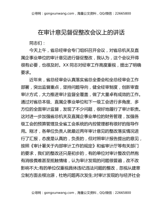 在审计意见督促整改会议上的讲话