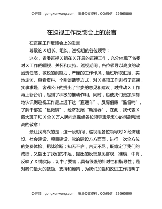在巡视工作反馈会上的发言