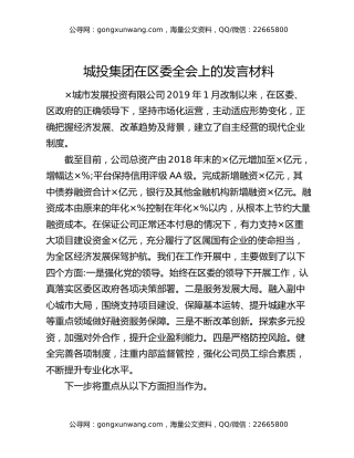 城投集团在区委全会上的发言材料
