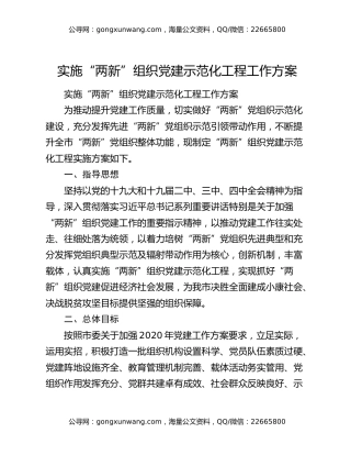 实施“两新”组织党建示范化工程工作方案