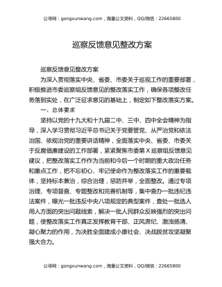 巡察反馈意见整改方案