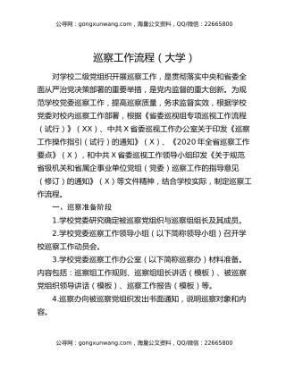 巡察工作流程（大学）