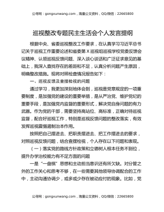 巡视整改专题民主生活会个人发言提纲
