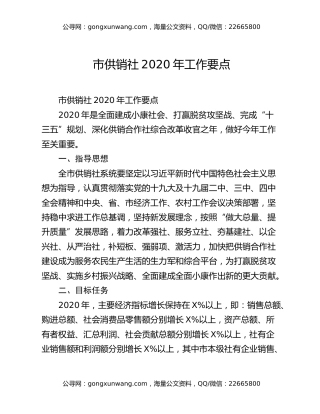 市供销社2020年工作要点