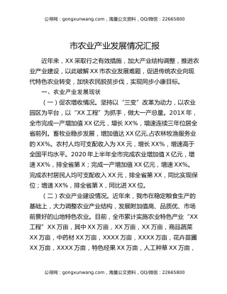 市农业产业发展情况汇报