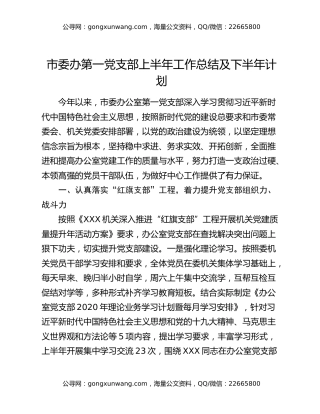 市委办第一党支部上半年工作总结及下半年计划