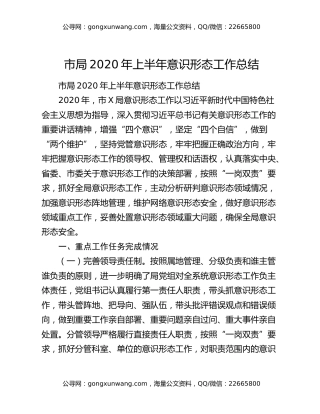 市局2020年上半年意识形态工作总结