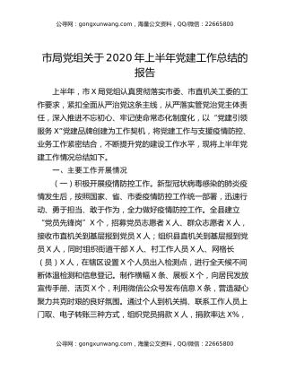市局党组关于2020年上半年党建工作总结的报告