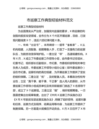 市巡察工作典型经验材料范文