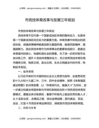 市竞技体育改革与发展三年规划