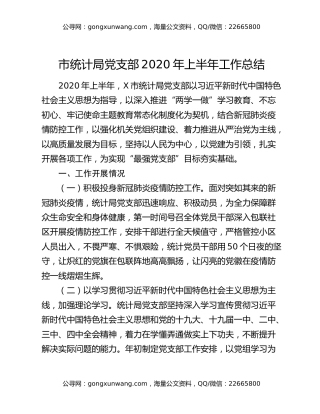 市统计局党支部2020年上半年工作总结