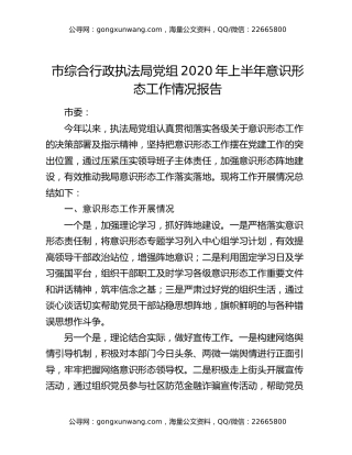 市综合行政执法局党组2020年上半年意识形态工作情况报告