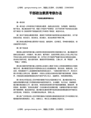 干部政治素质考察办法