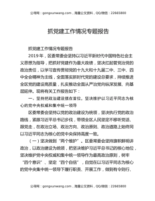 抓党建工作情况专题报告