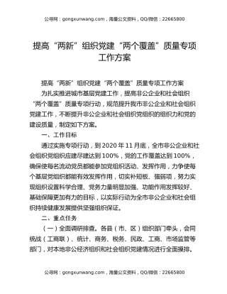 提高“两新”组织党建“两个覆盖”质量专项工作方案