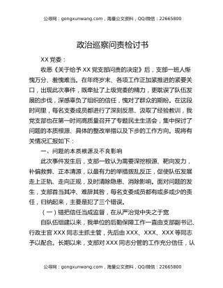 政治巡察问责检讨书