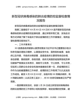 新型冠状病毒感染的肺炎疫情防控监督检查情况报告
