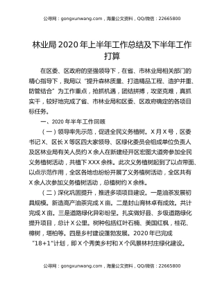 林业局2020年上半年工作总结及下半年工作打算