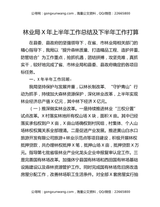 林业局X年上半年工作总结及下半年工作打算
